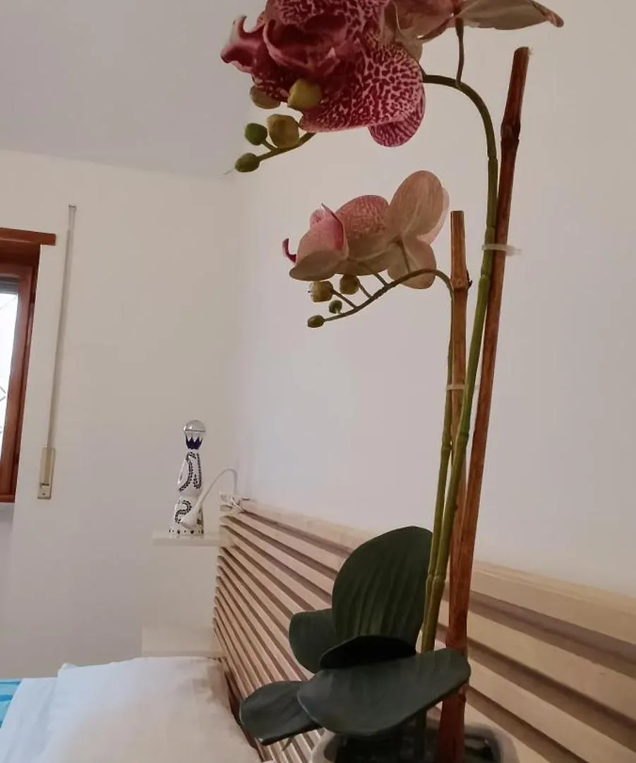 Appartamento Casa Pereira Roma Italia